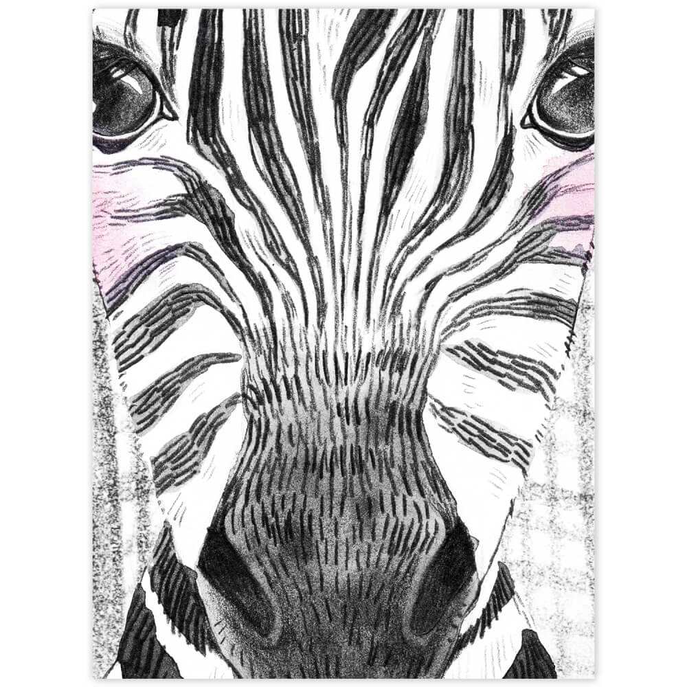 Levně Dekorace do dětského pokoje - Obraz zebra